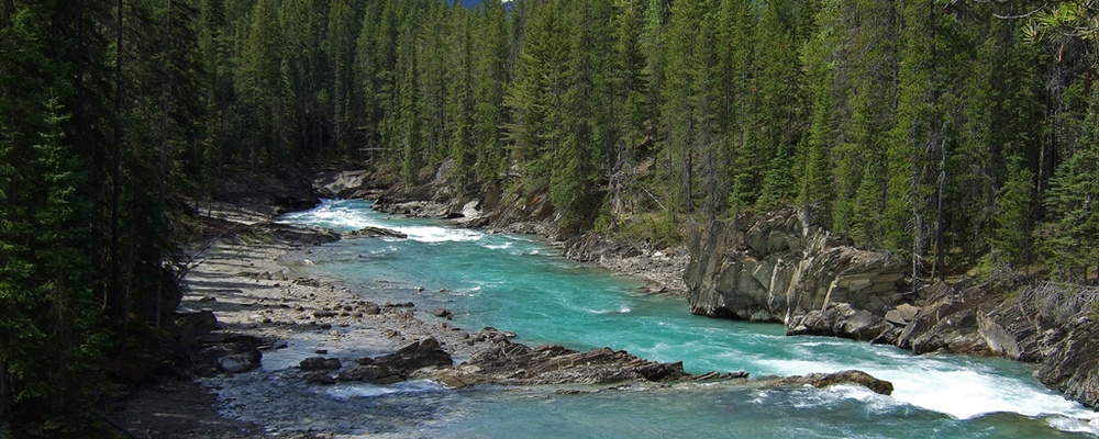 Road to Emerald Lake, Yoho National Park, Canada